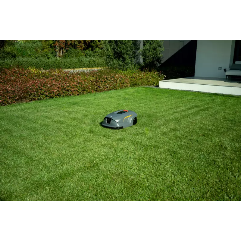 A50v_2R9113028_amb03_web